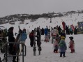 0806-1320 Perisher valley (8060198)